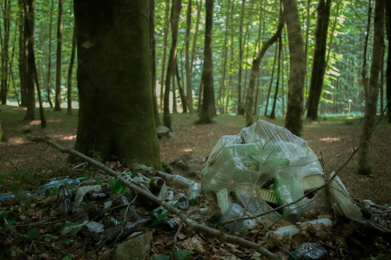 Müll im Wald, umgeben von Bäumen und herabfallenden Ästen.