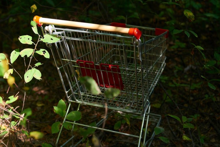 Einkaufswagen steht im Wald zwischen Pflanzen und Bäumen.
