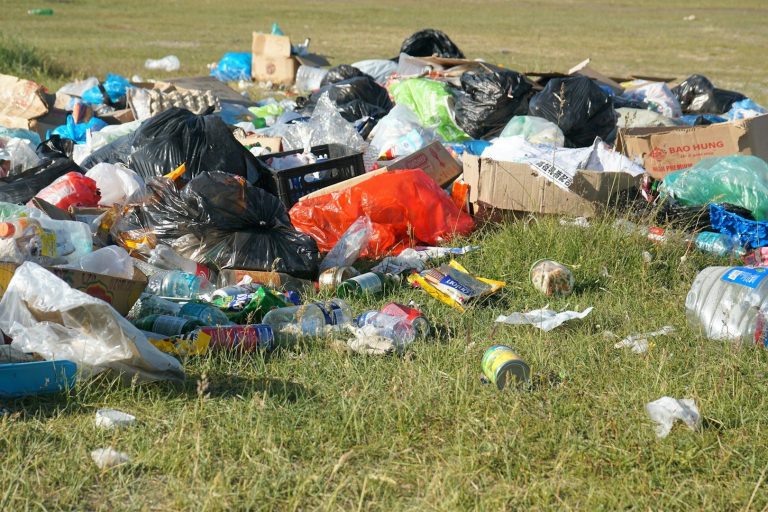 Vielerlei Abfall und Müll, verteilt auf einer grünen Wiese.