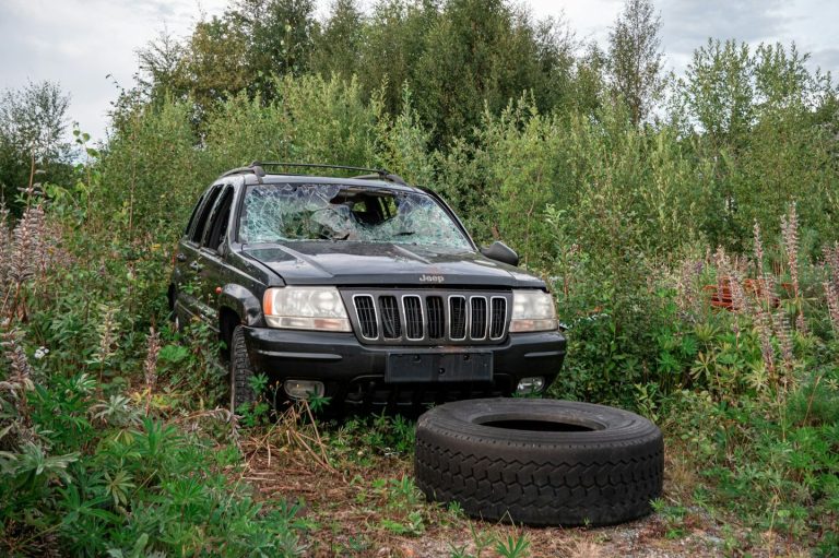 Schwarzer SUV in unberührter Natur, daneben ein großer Reifen und grüne Pflanzen.