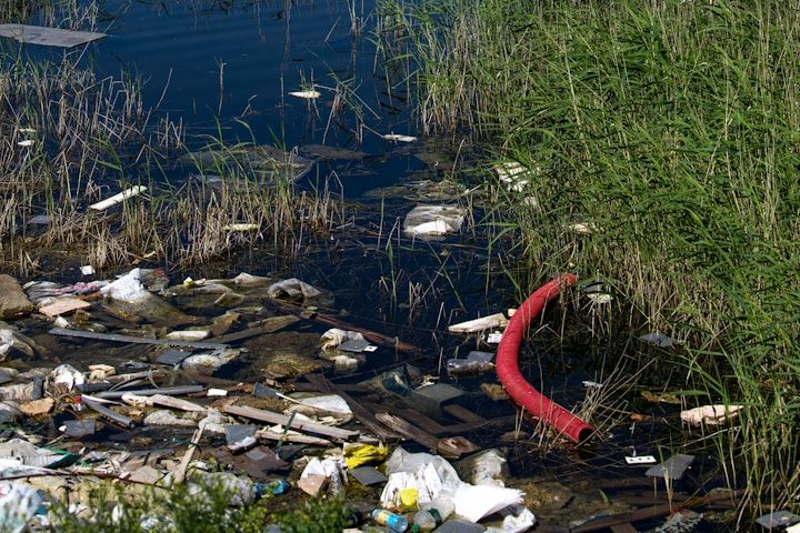 Verschmutztes Wasser mit Müll und Pflanzenresten am Ufer.
