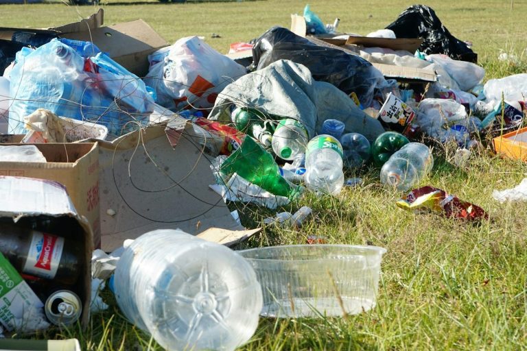 Müllhaufen mit verschiedenen Arten von Abfällen auf einer Wiese.